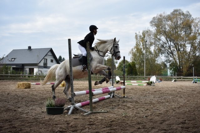 bABIE lATO 2018